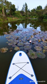 Standup Paddling Expedition India