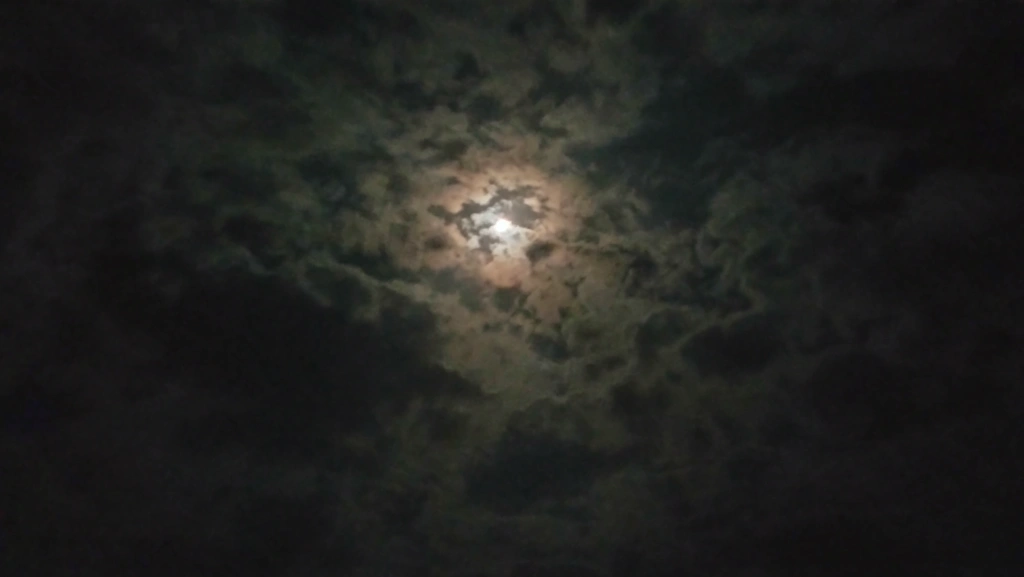 Stargazing moments - Mangrovebay Ecocamp Standup Paddle Expeditions India