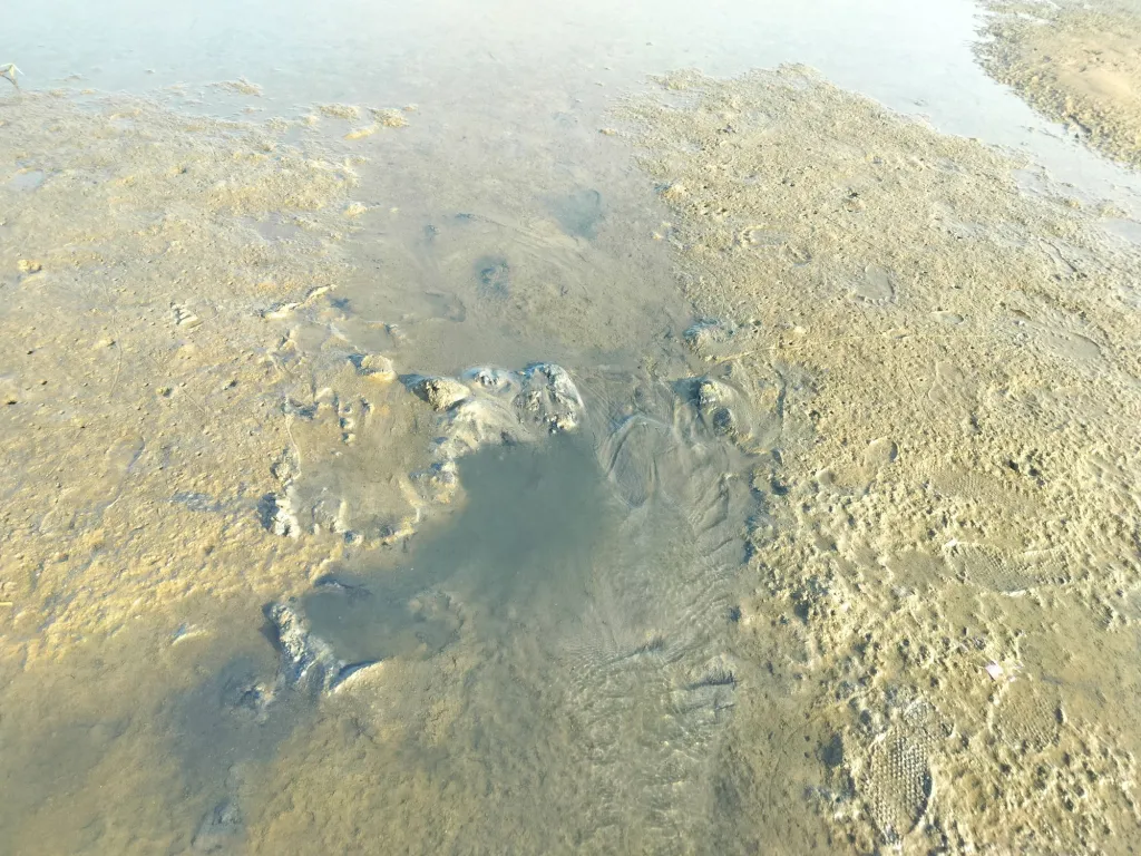 Standup Paddle Expeditions India