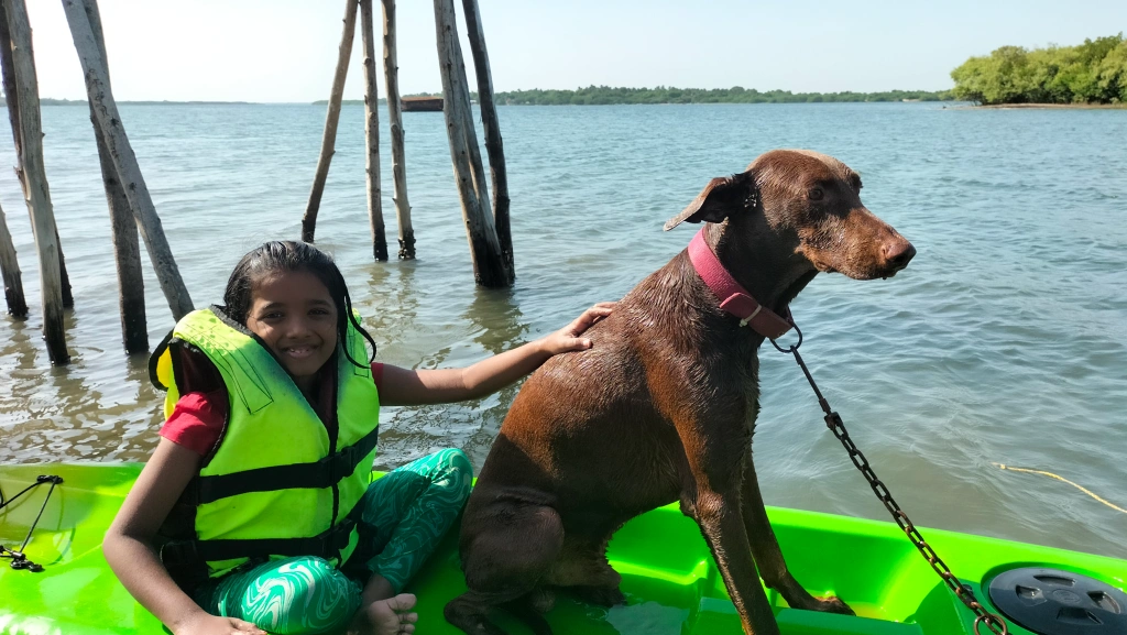 Kayaking in Mangrovebay Ecocamp - River Kollidam Standup Paddle Expeditions India