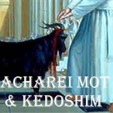 D'var Torah for Parashat Achrei Mot-Kedoshim 5786