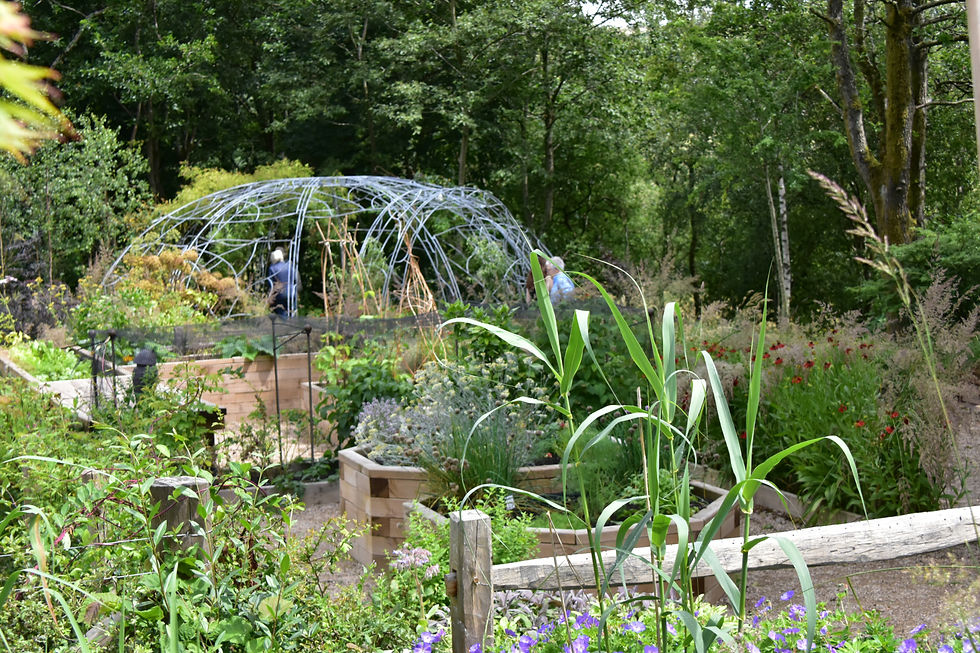 Lush garden with wooden planters and greenery, featuring a dome structure, in a Rochdale public garden designed by David Keegan Garden Design.