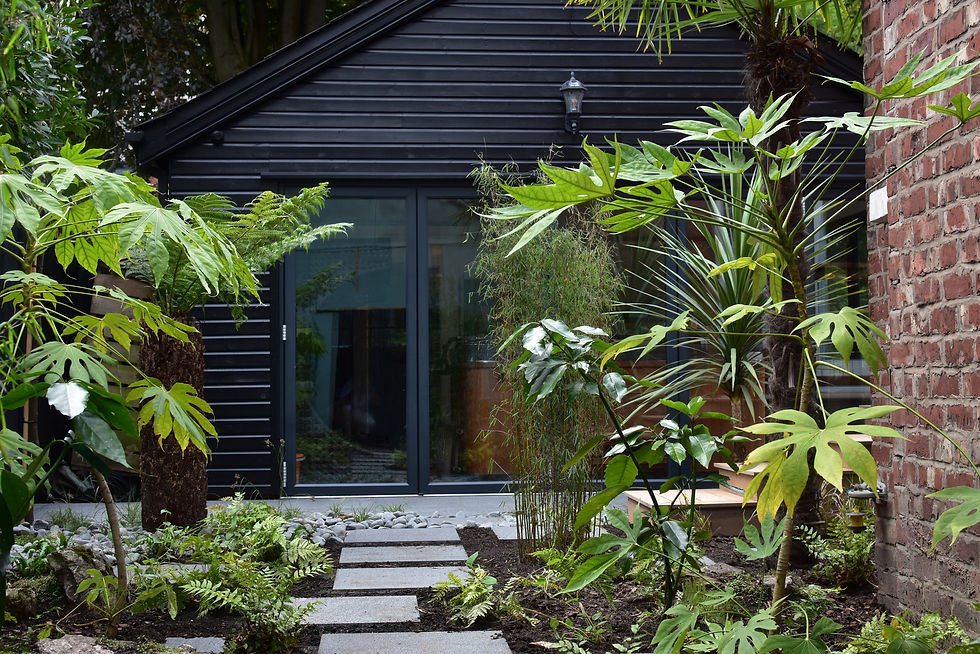 Lush green plants in a tropical garden designed by DK Garden Design, leading to a black summerhouse with glass doors.