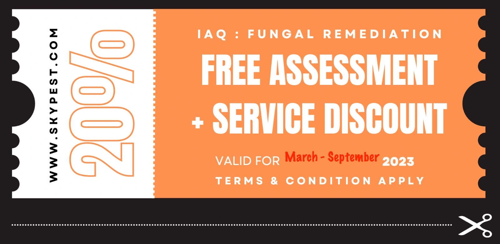 fungal remediation.webp