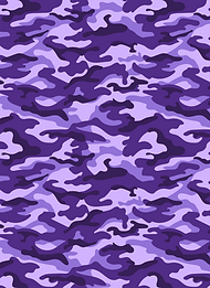 tcu fabric canvas.png