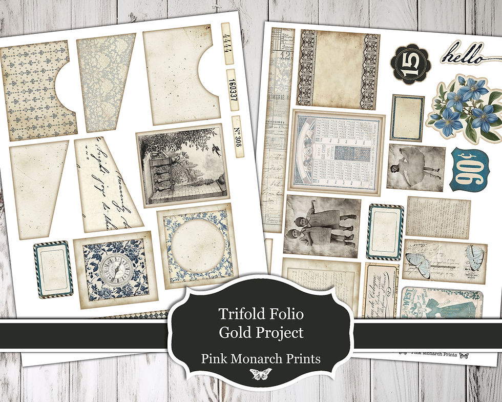Thumbnail: Trifold Folio Gold Project January 2025