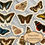 Thumbnail: Beautiful Butterflies