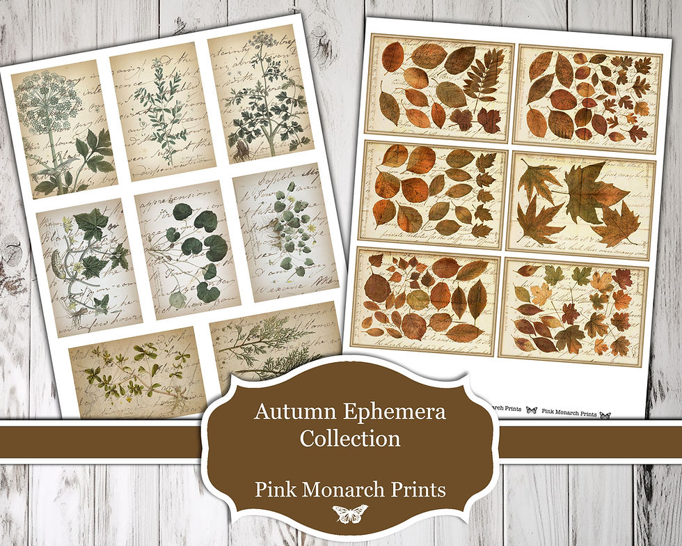 Thumbnail: Autumn Ephemera Collection