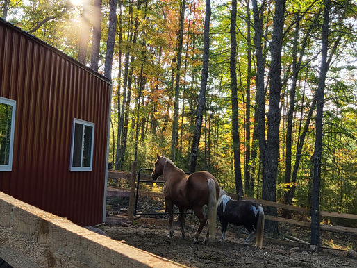 Barn Building Series: Won't Stop 'Till It's Done