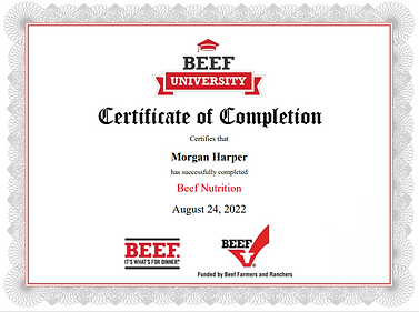 Beef Nutrition Longhorn Cow Cattle Beef Dirigo Ranch