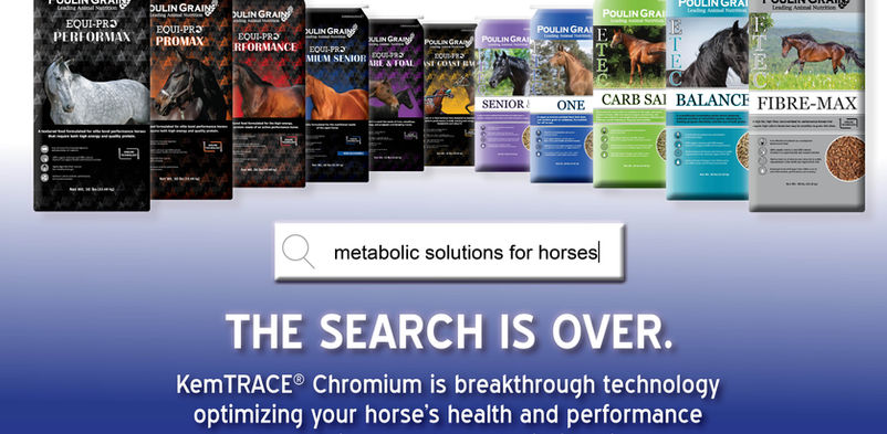 KemTRACE_Chromium_Search_Is_Over_with_text_ad.jpg