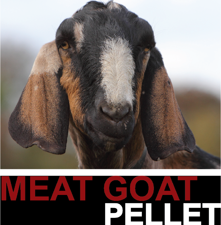 Meat_Goat_thumbnail_2019-01.png