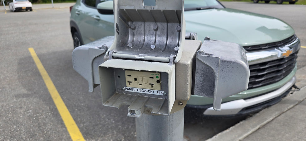 Every single parking space at the university in Fairbanks has an electrical outlet. Not for charging a battery, but to plug your engine block heater into. In the middle of winter it will only take about one hour for your engine to freeze solid there.