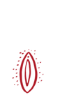 Copy%20of%20SER%20-%20final%20(1)_edited