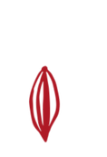 Copy%20of%20SER%20-%20final%20(1)_edited