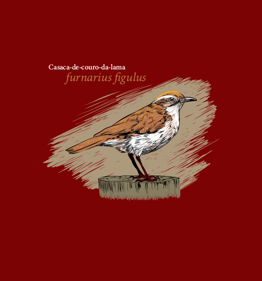 Miniatura: Casaca-de-couro-da-lama