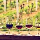 Wine Tasting.jpg