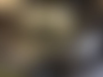 Support de nettoyage pour F90