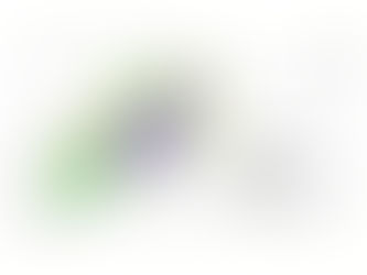 Alfred Bog | A Biodiversity Hotspot in Prescott Russell