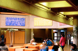 UVIC 1981