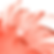 Logo blanc