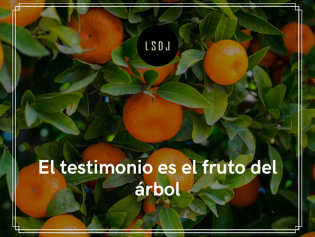 El testimonio es el fruto del árbol