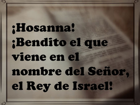 ¡Hosanna! ¡Bendito el que viene en el nombre del Señor, el Rey de Israel!