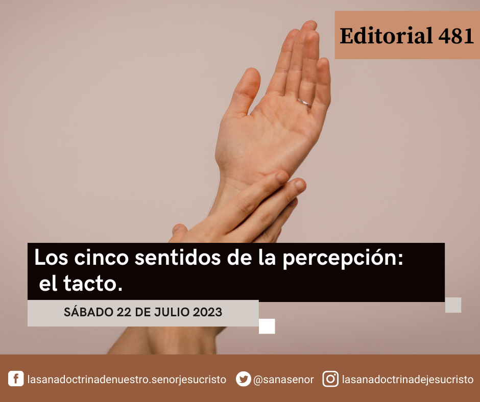 fotos del sentido del tacto