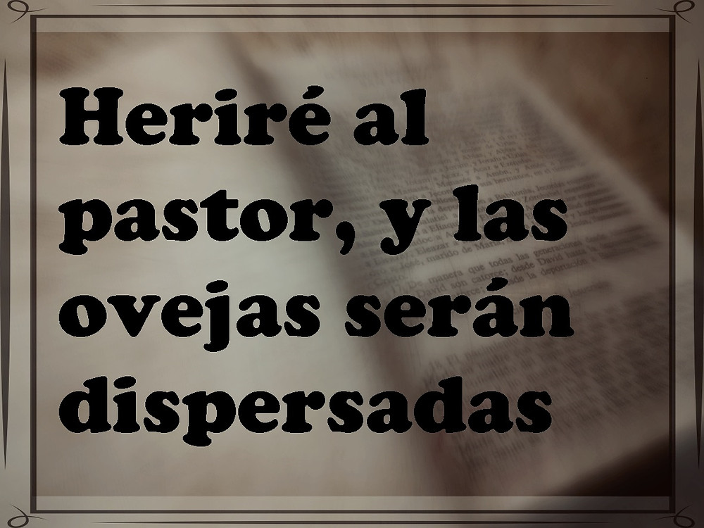 Heriré al pastor, y las ovejas serán dispersadas.