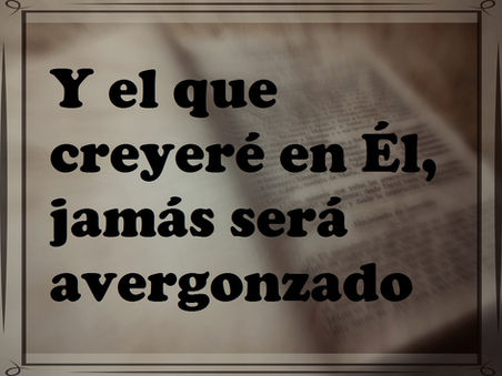 Y el que creyere en Él, no será avergonzado.