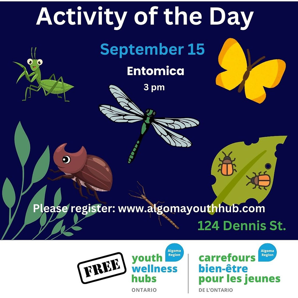 Field Trip -Entomica