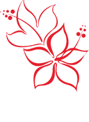 white transparent kclmsoc logo.png