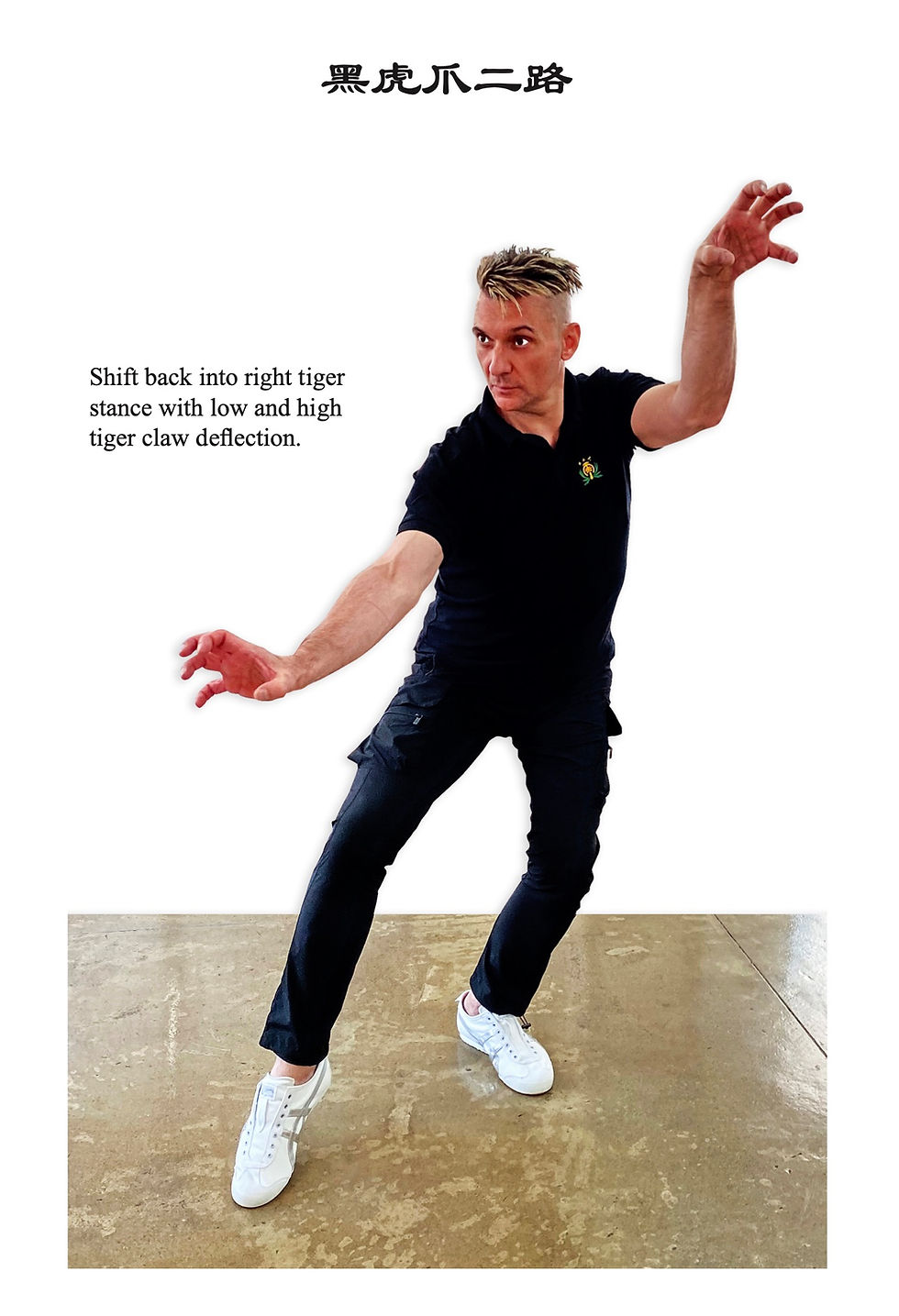 Thumbnail: E-BOOK: 黑虎爪對拆: Black Tiger-Tiger Claw Matching Set