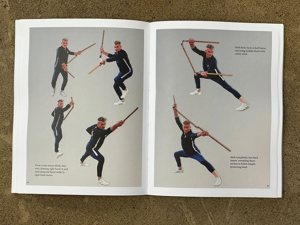 Thumbnail: 虎尾三節棍: Tiger Tail Three-Section Staff