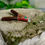 Thumbnail: Wooden Gemstone Kuripé