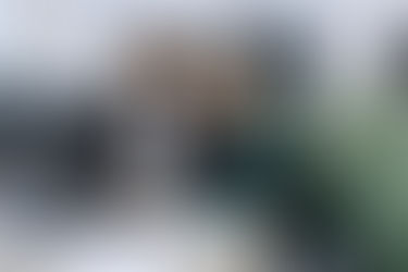 Exploring The Role Of Enterprise Learning Management System