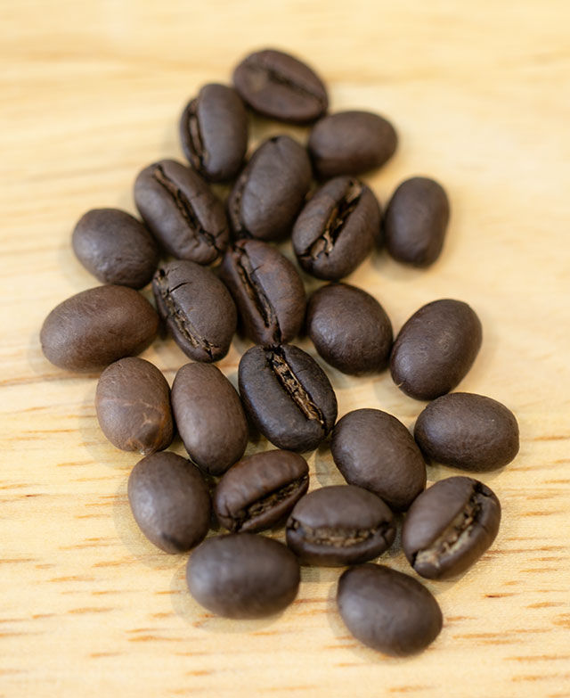 hat-robusta-culi