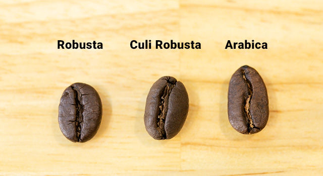 arabica-robusta-culi