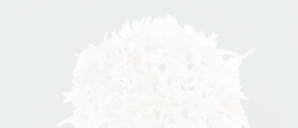 T Lymphocyte Colorized scanning electron