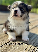 thumbnail (72).jpg