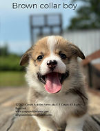 thumbnail (68)_edited.jpg