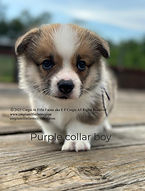 thumbnail (67)_edited.jpg
