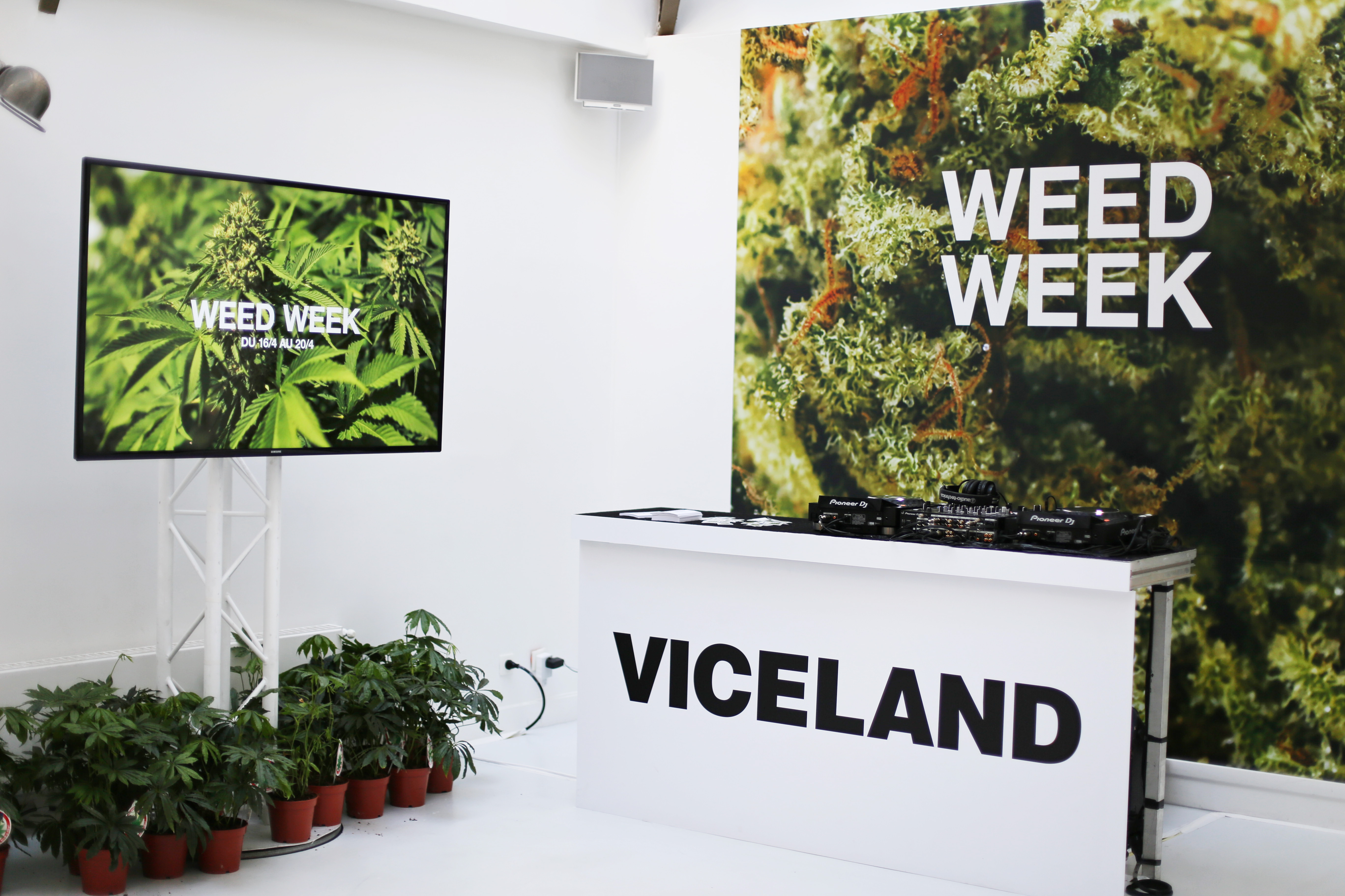 VICELAND