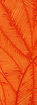 tomette texturée
