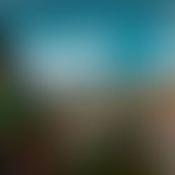 7 Smart Relocation Strategies for Removals to Russia