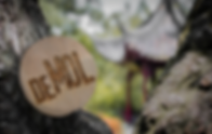 WIDM2020.png