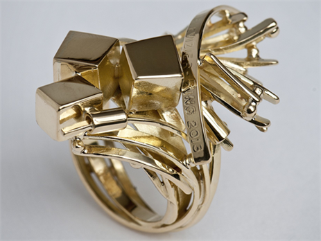 Televizier-Ring 2013