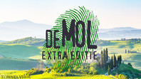 Wie is de Mol? komt na de zomer terug met een extra seizoen
