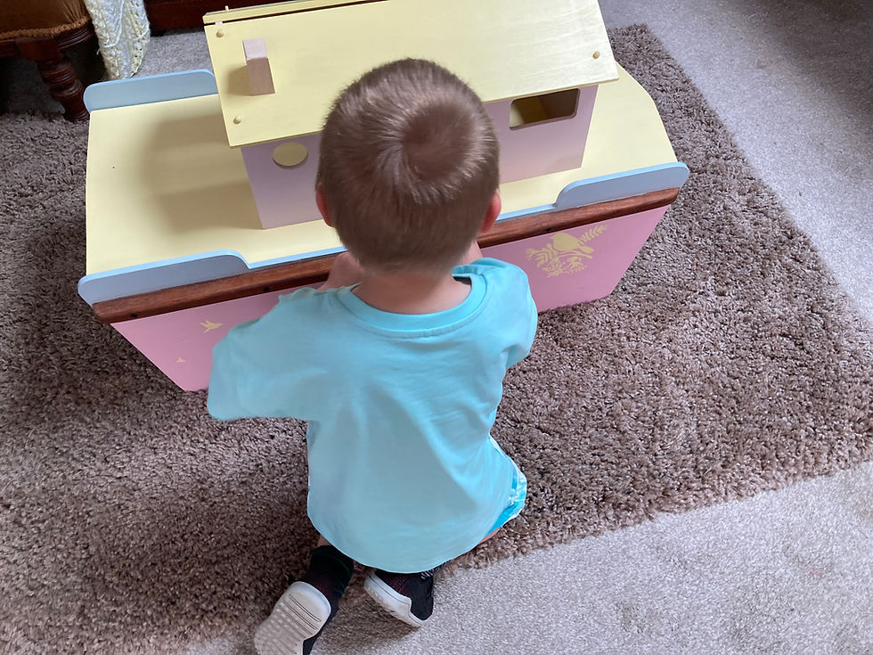 Thumbnail: Pickle's Ark Toy Box