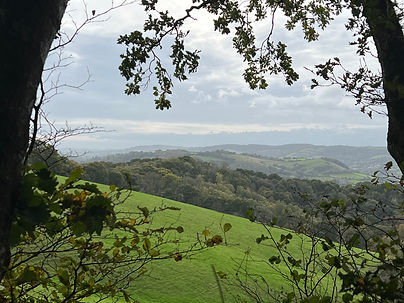 View across Haldon Forest towards Dartmoor.